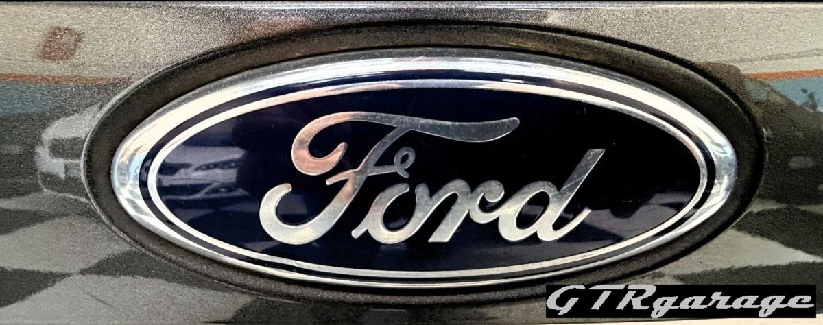 Ford B-Max B-Max 1.4 90 CV GPL Titanium X (19)
