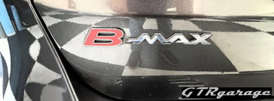 Ford B-Max B-Max 1.4 90 CV GPL Titanium X (20)