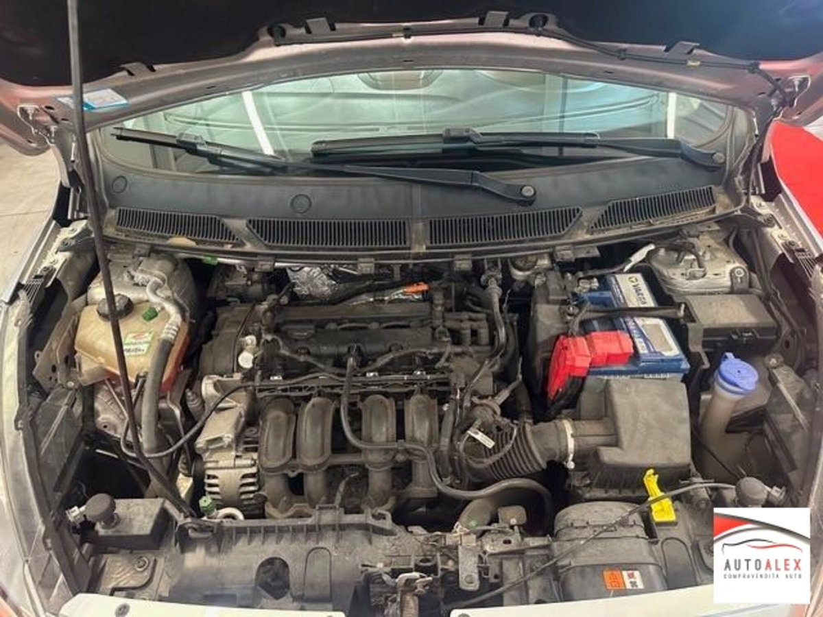 Ford Ka 1.2 8V 69CV (15)