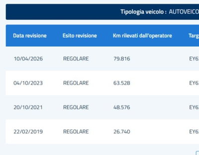 Lancia Ypsilon 1.3 MJT 16V 95 CV 5 porte S&S Elefantino (7)