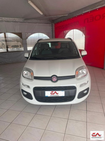 Fiat Panda 1.2 Active Natural Power usata