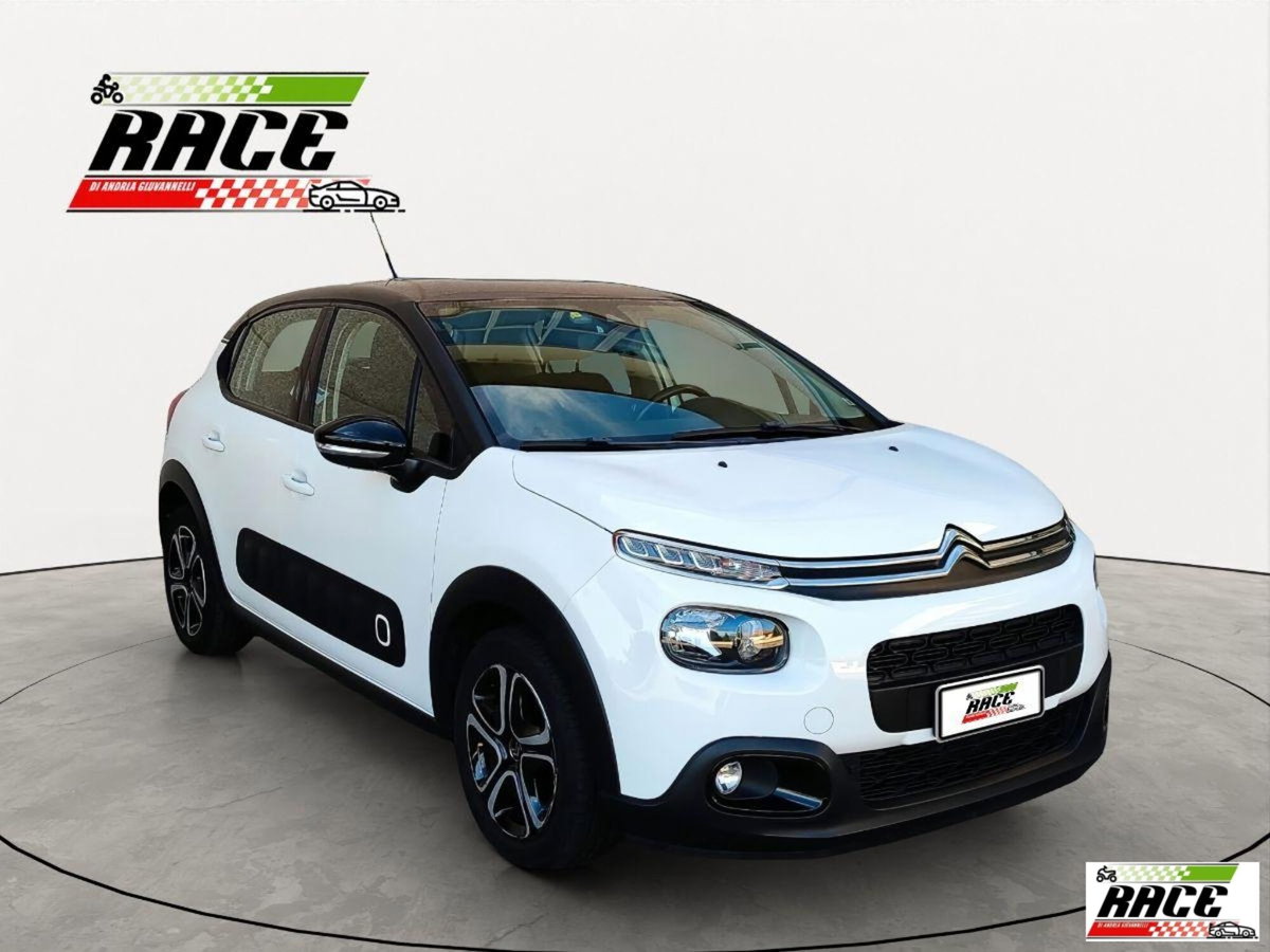 Citroen C3 BlueHDi 100 S&S Shine (8)
