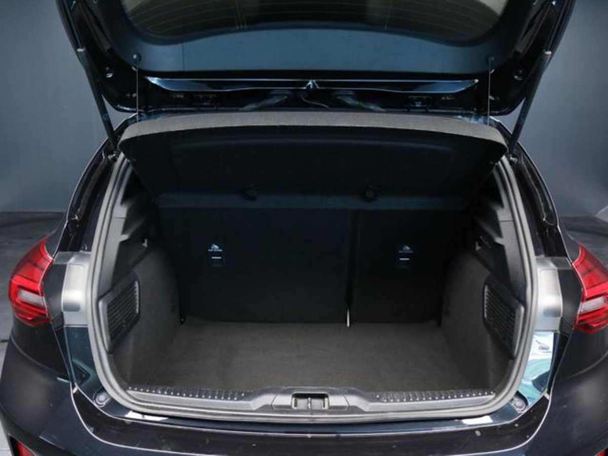 Ford Focus 1.5 EcoBlue 115 CV automatico 5p. ST-Line Style (7)