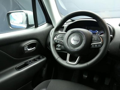 Jeep Renegade 1.6 mjt Limited 2wd 130cv (12)