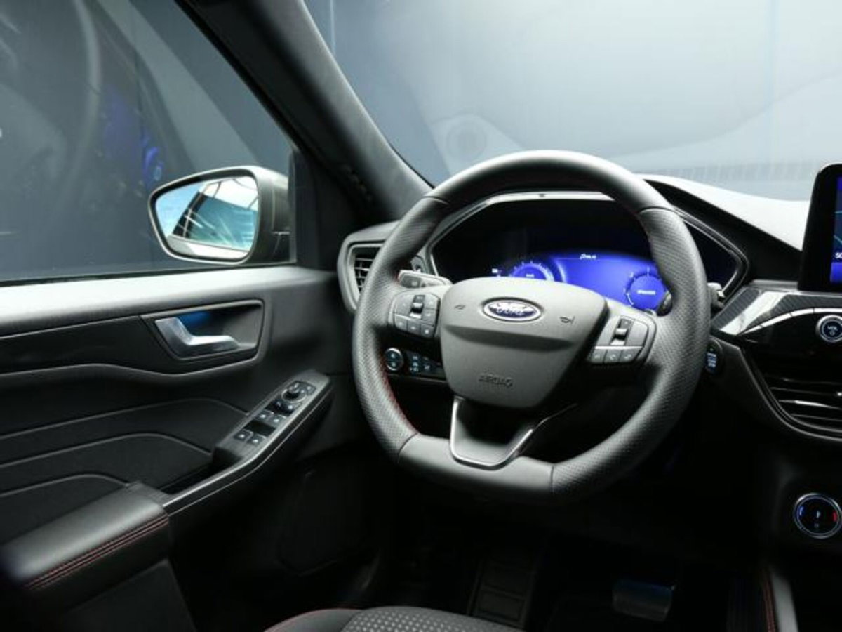 Ford Kuga 2.0 EcoBlue 120 CV aut. 2WD ST-Line X (12)
