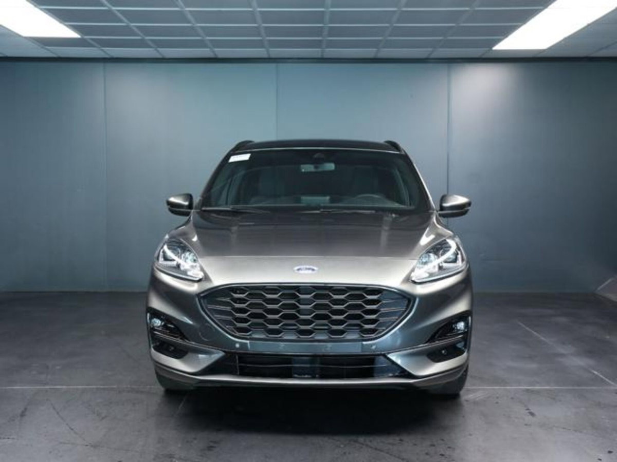 Ford Kuga 2.0 EcoBlue 120 CV aut. 2WD ST-Line X (2)