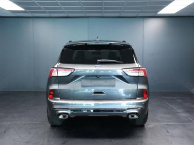 Ford Kuga 2.0 EcoBlue 120 CV aut. 2WD ST-Line X (3)