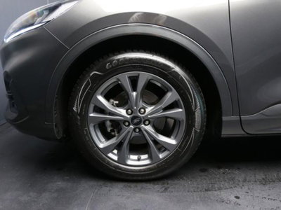 Ford Kuga 2.0 EcoBlue 120 CV aut. 2WD ST-Line X (5)