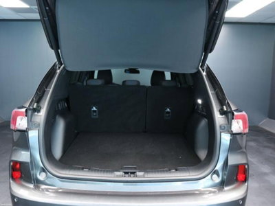 Ford Kuga 2.0 EcoBlue 120 CV aut. 2WD ST-Line X (7)