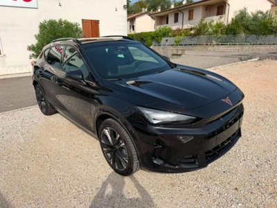 Cupra Formentor 2.0 tsi Business 4drive 204cv dsg (2)