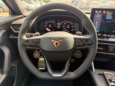 Cupra Formentor 2.0 tsi Business 4drive 204cv dsg (9)