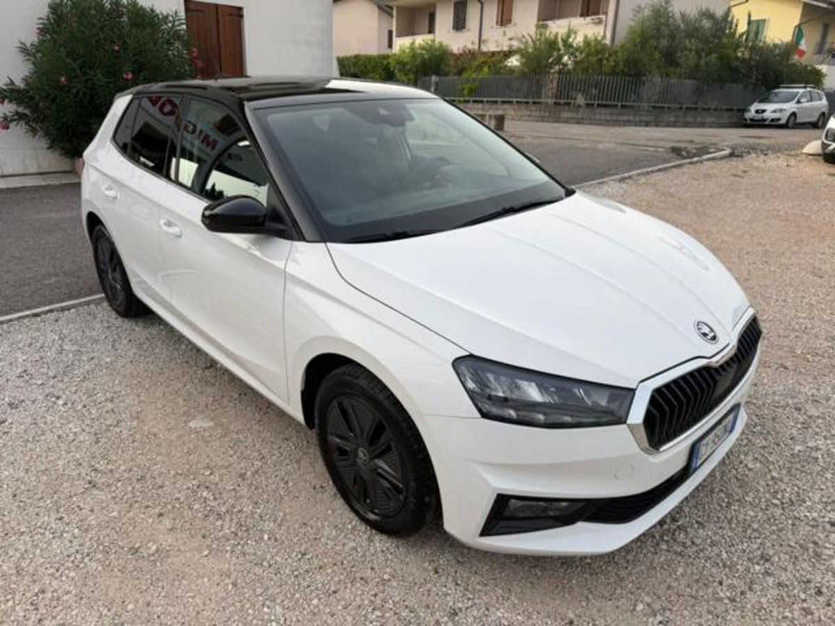 Skoda Fabia 1.0 tsi evo Style 115cv dsg (2)
