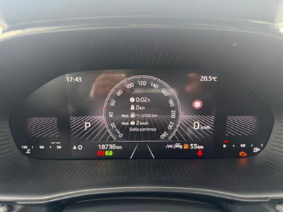 Skoda Fabia 1.0 tsi evo Style 115cv dsg (8)