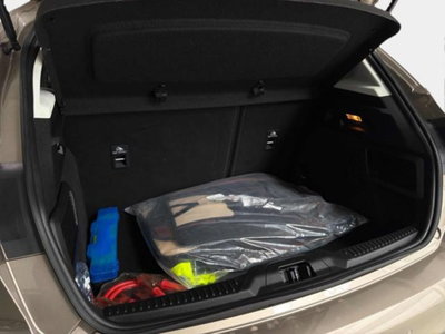 Ford Focus 1.5 EcoBlue 120 CV aut. 5p. Active Design (13)