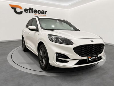 Ford Kuga 1.5 EcoBlue 120 CV aut. 2WD ST-Line X Design (3)