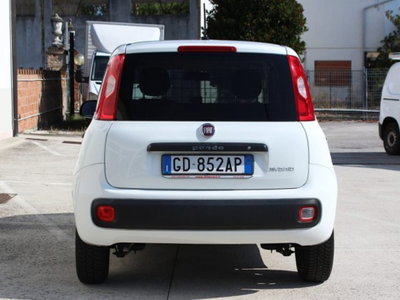 Fiat Panda 1.0 firefly hybrid s&s 70cv 5p.ti (3)
