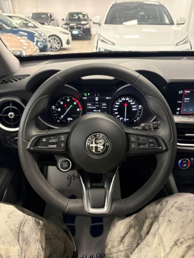 Alfa Romeo Stelvio Stelvio 2.2 Turbodiesel 160 CV AT8 RWD Super Business (9)