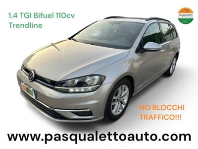 Volkswagen Golf Variant 1.4 TGI Trendline BlueMotion usata