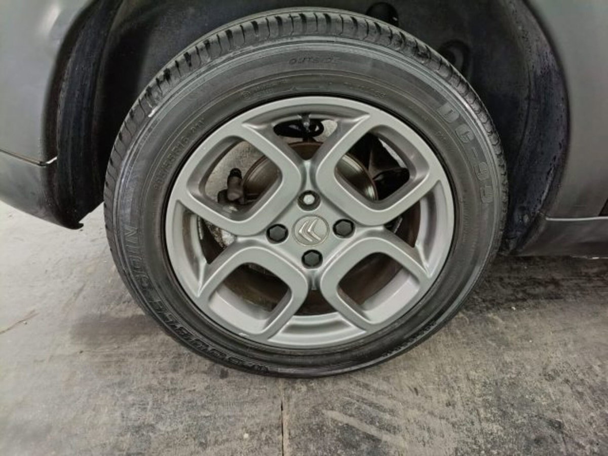 Citroen C4 Cactus BlueHDi 100 S&S Shine Edition (11)