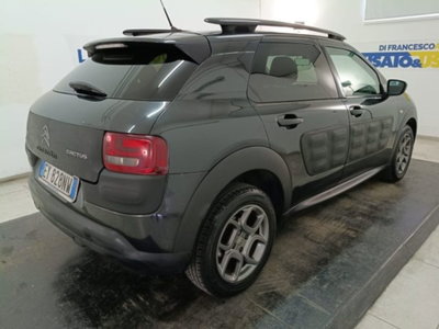 Citroen C4 Cactus BlueHDi 100 S&S Shine Edition (2)