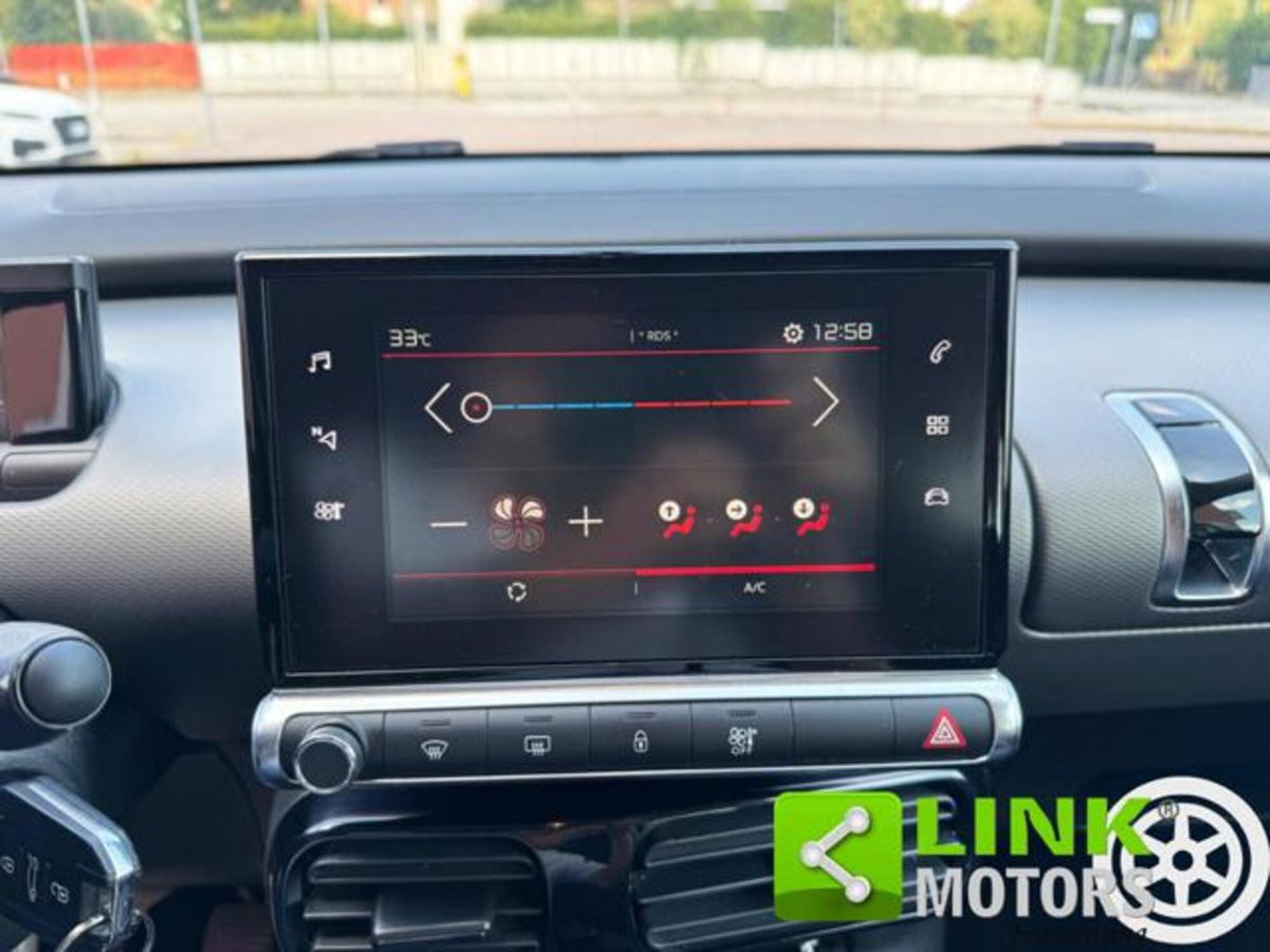 Citroen C4 Cactus BlueHDi 100 S&S Feel (20)