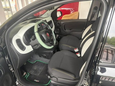Fiat Panda Cross 1.0 firefly hybrid Cross s&s 70cv 5p.ti (5)