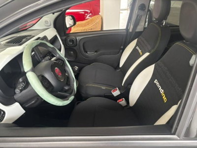 Fiat Panda Cross 1.0 firefly hybrid Cross s&s 70cv 5p.ti (6)