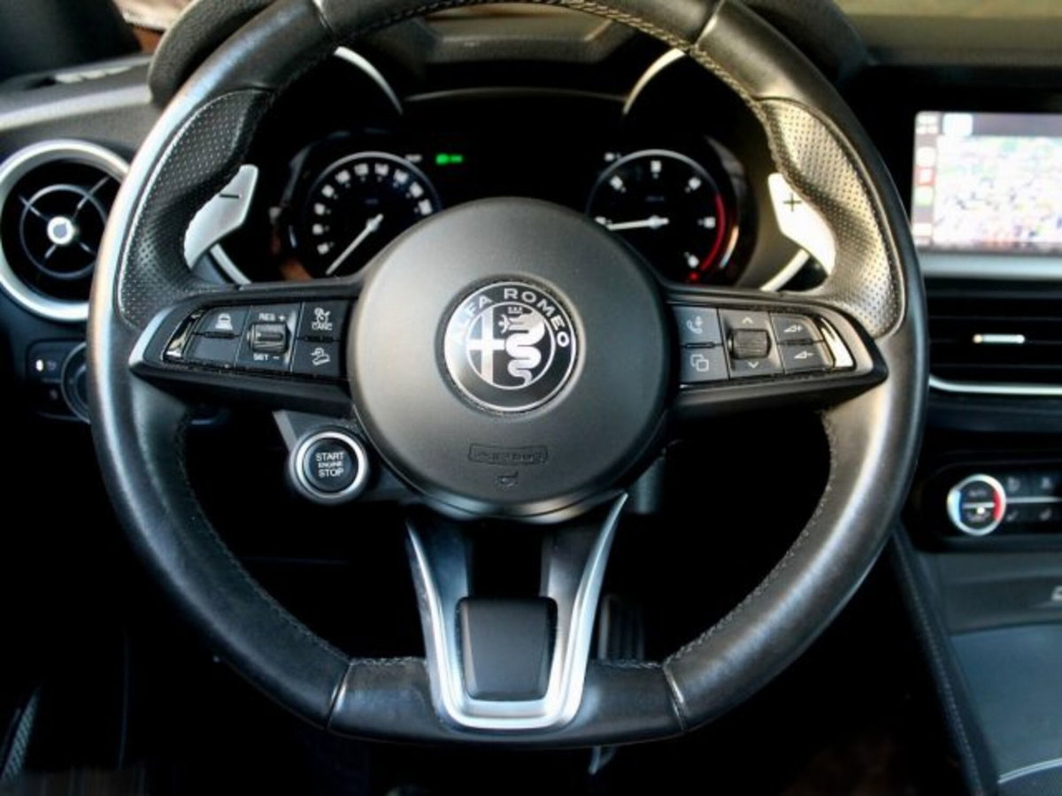 Alfa Romeo Stelvio Stelvio 2.2 Turbodiesel 210 CV AT8 Q4 Veloce (19)
