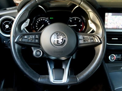 Alfa Romeo Stelvio Stelvio 2.2 Turbodiesel 210 CV AT8 Q4 Veloce (19)