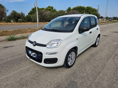 Fiat Panda 1.3 MJT S&S Easy Van 4 posti usata