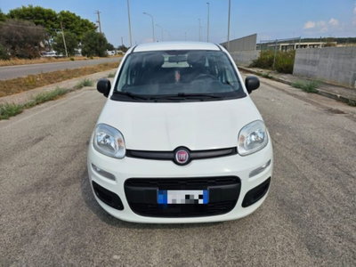 Fiat Panda 1.3 MJT S&S Easy Van 4 posti (2)