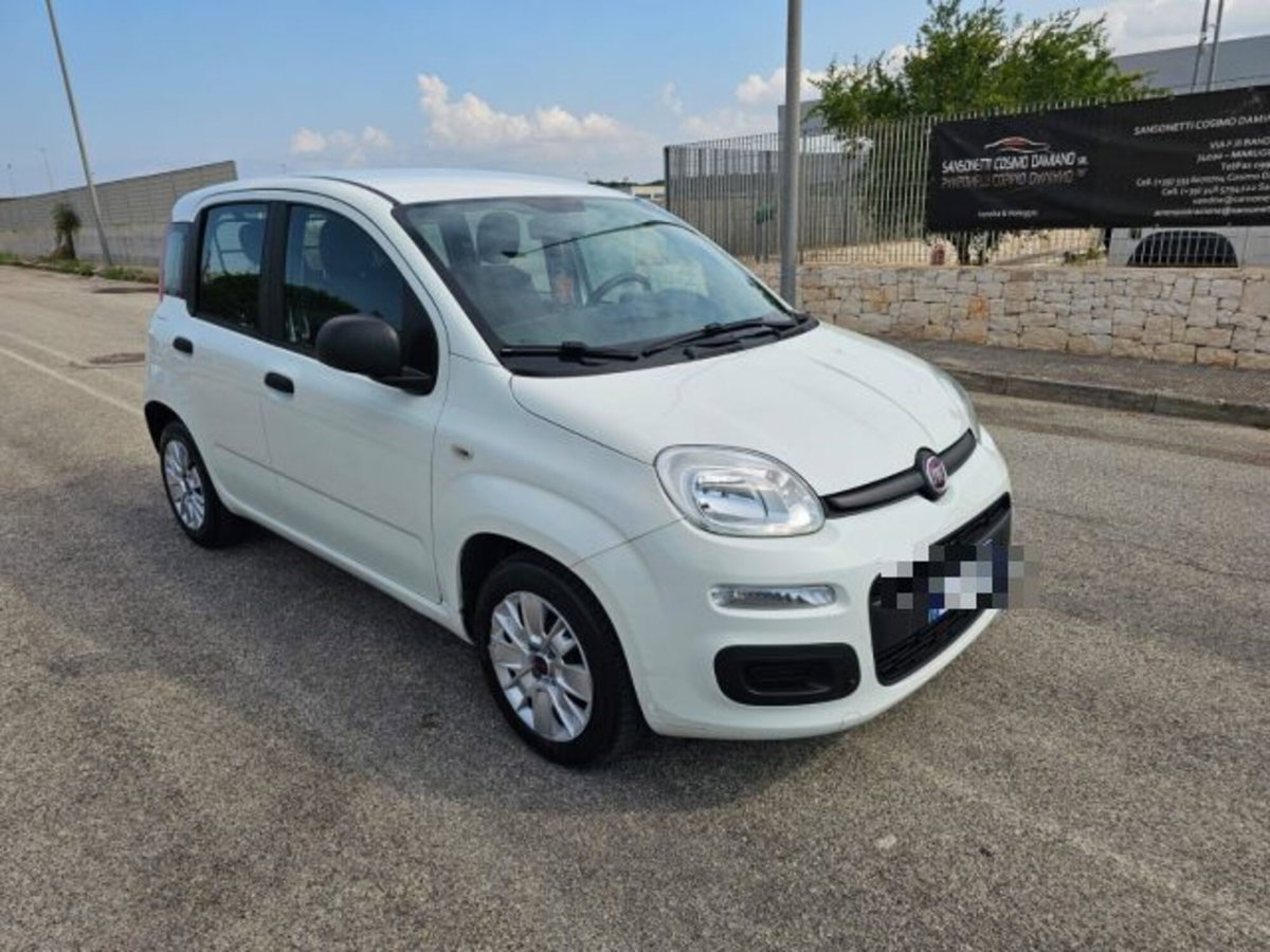 Fiat Panda 1.3 MJT S&S Easy Van 4 posti (3)