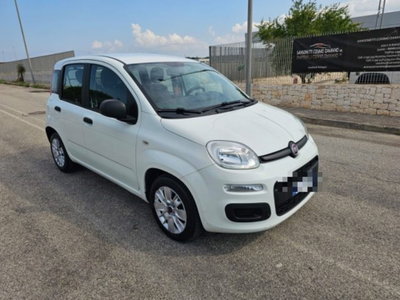 Fiat Panda 1.3 MJT S&S Easy Van 4 posti (3)