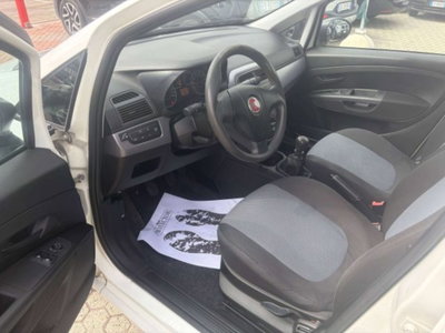 Fiat Punto Evo 1.2 5 porte S&S Active (12)