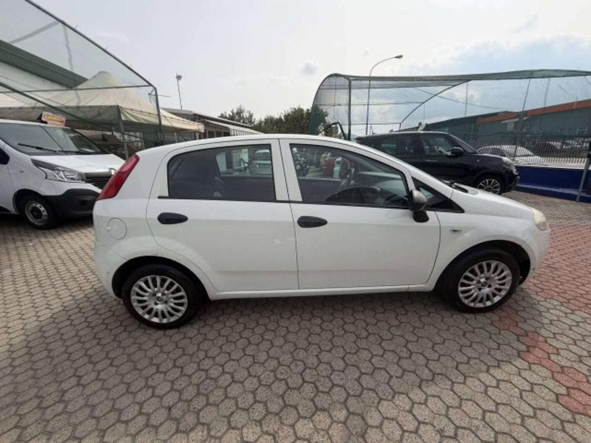 Fiat Punto Evo 1.2 5 porte S&S Active (4)