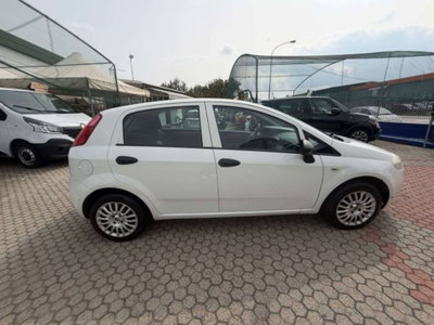 Fiat Punto Evo 1.2 5 porte S&S Active (4)
