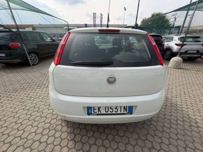 Fiat Punto Evo 1.2 5 porte S&S Active (5)