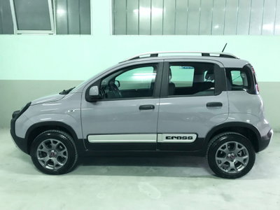 Fiat Panda 0.9 TwinAir Turbo S&S 4x4 City Cross (4)
