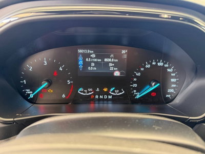 Ford Focus 1.5 EcoBlue 115 CV automatico 5p. ST-Line Style (14)