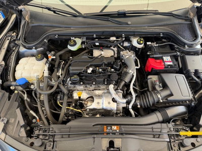 Ford Focus 1.5 EcoBlue 115 CV automatico 5p. ST-Line Style (17)
