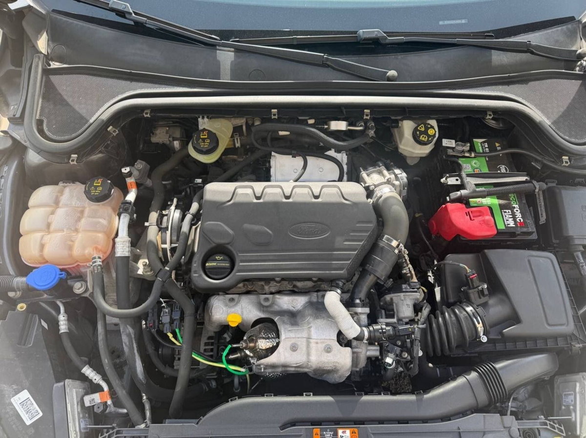 Ford Focus 1.5 EcoBlue 120 CV 5p. ST-Line (15)