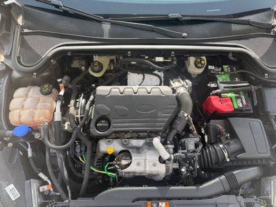 Ford Focus 1.5 EcoBlue 120 CV 5p. ST-Line (15)