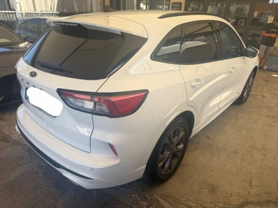 Ford Kuga 1.5 EcoBlue 120 CV 2WD ST-Line (5)