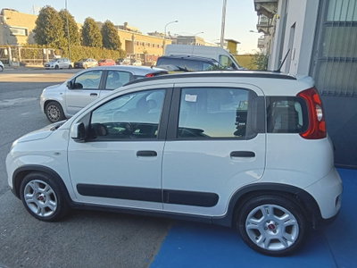 Fiat Panda 1.0 FireFly S&S Hybrid City Life usata