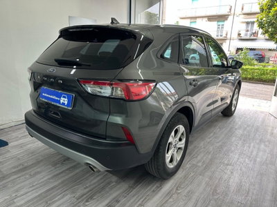 Ford Kuga 1.5 EcoBoost 120 CV 2WD (6)