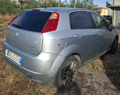 Fiat Punto 1.3 Multijet 16V 5 porte Actual usata