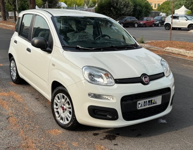 Fiat Panda Cross Cross 1.0 FireFly S&S Hybrid usata