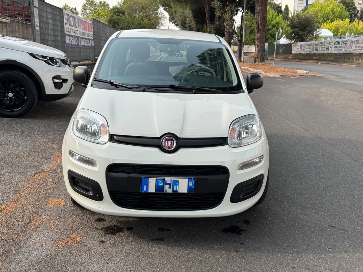 Fiat Panda Cross Cross 1.0 FireFly S&S Hybrid (2)