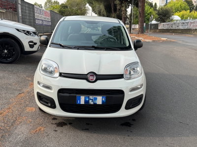 Fiat Panda Cross Cross 1.0 FireFly S&S Hybrid (2)