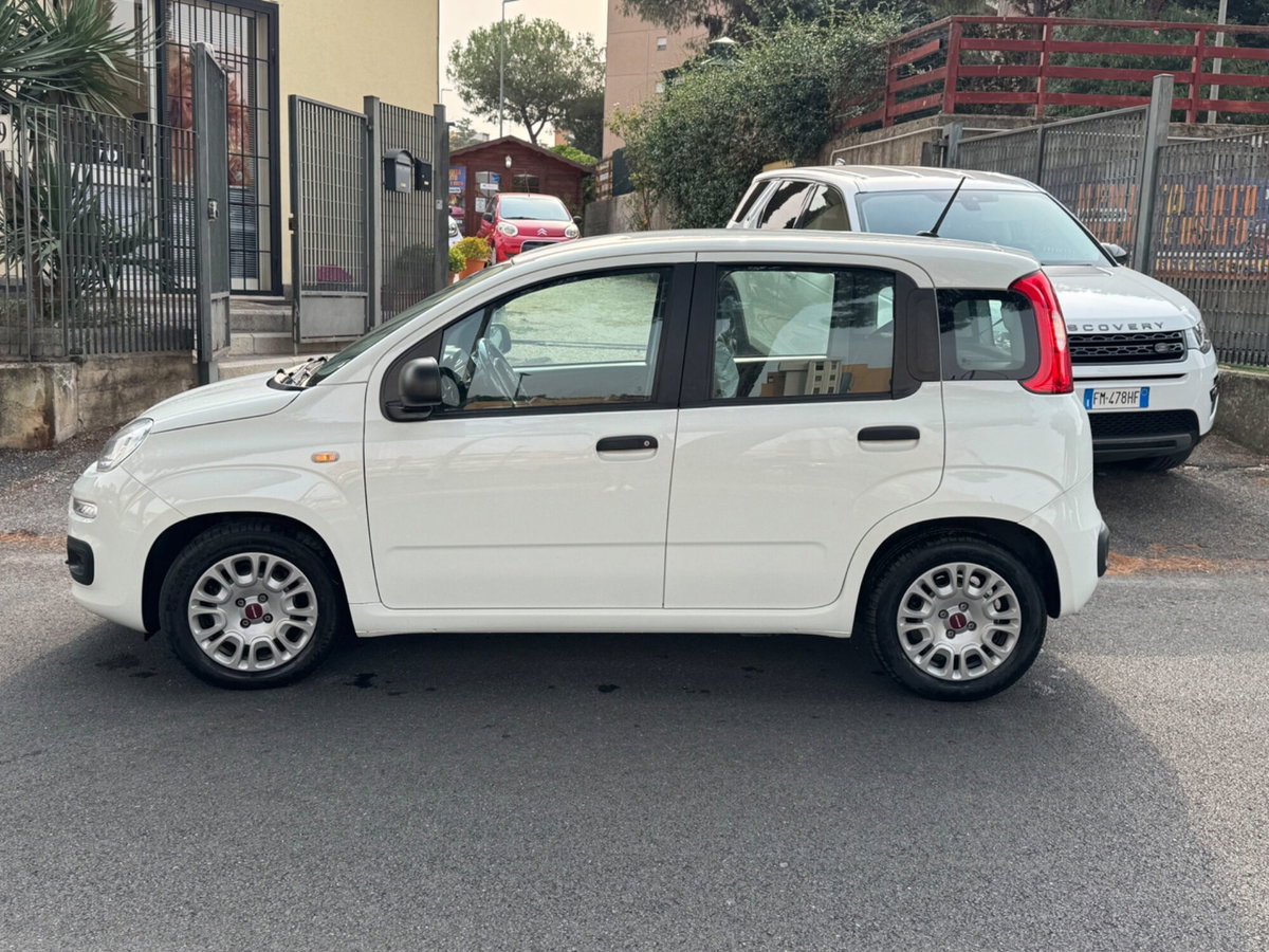 Fiat Panda Cross Cross 1.0 FireFly S&S Hybrid (4)